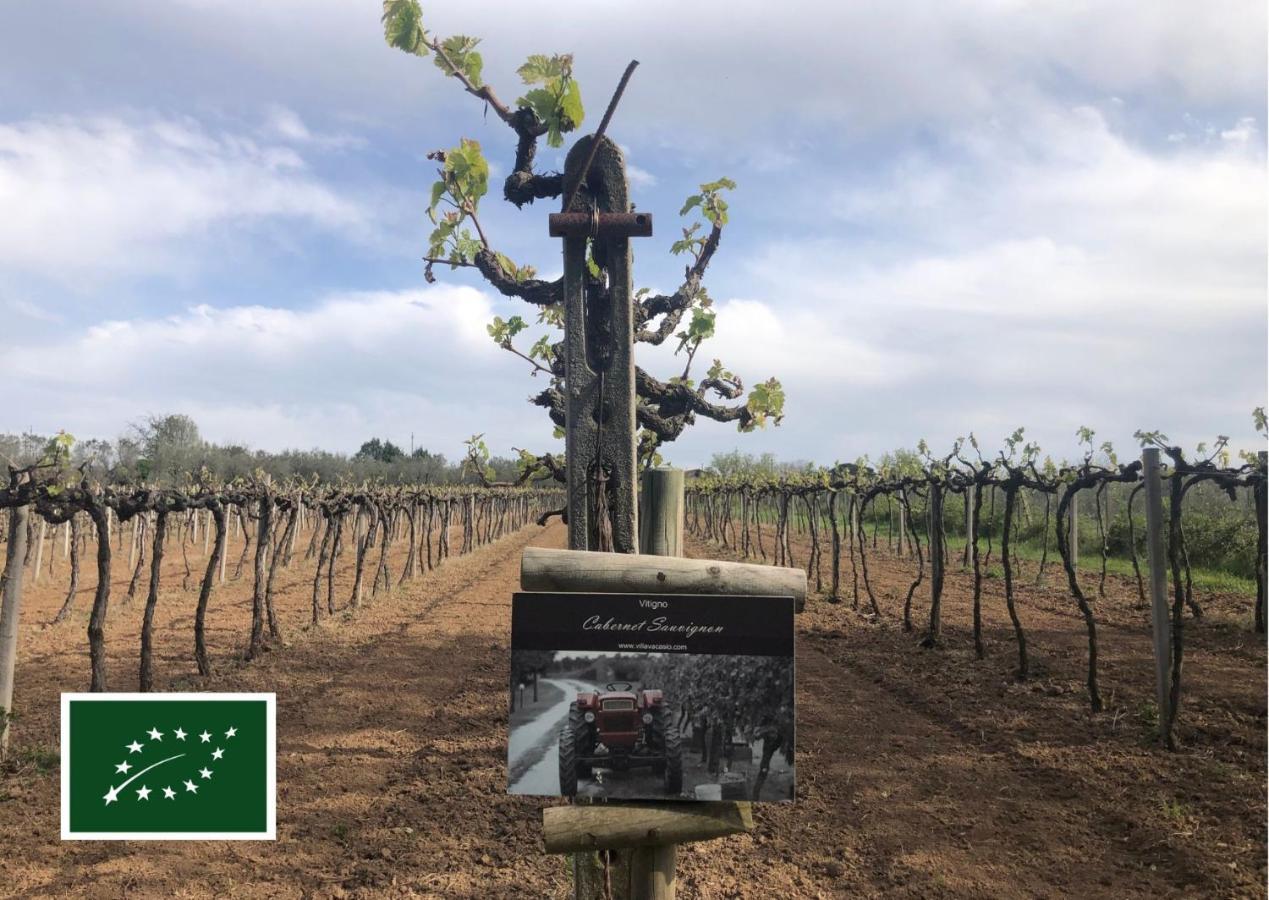 Agriturismo Eco-Bio Villa Vacasio Pitigliano Eksteriør bilde