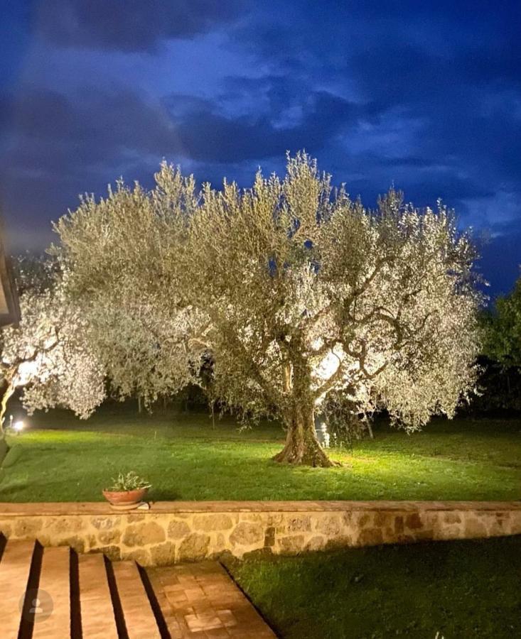 Agriturismo Eco-Bio Villa Vacasio Pitigliano Eksteriør bilde