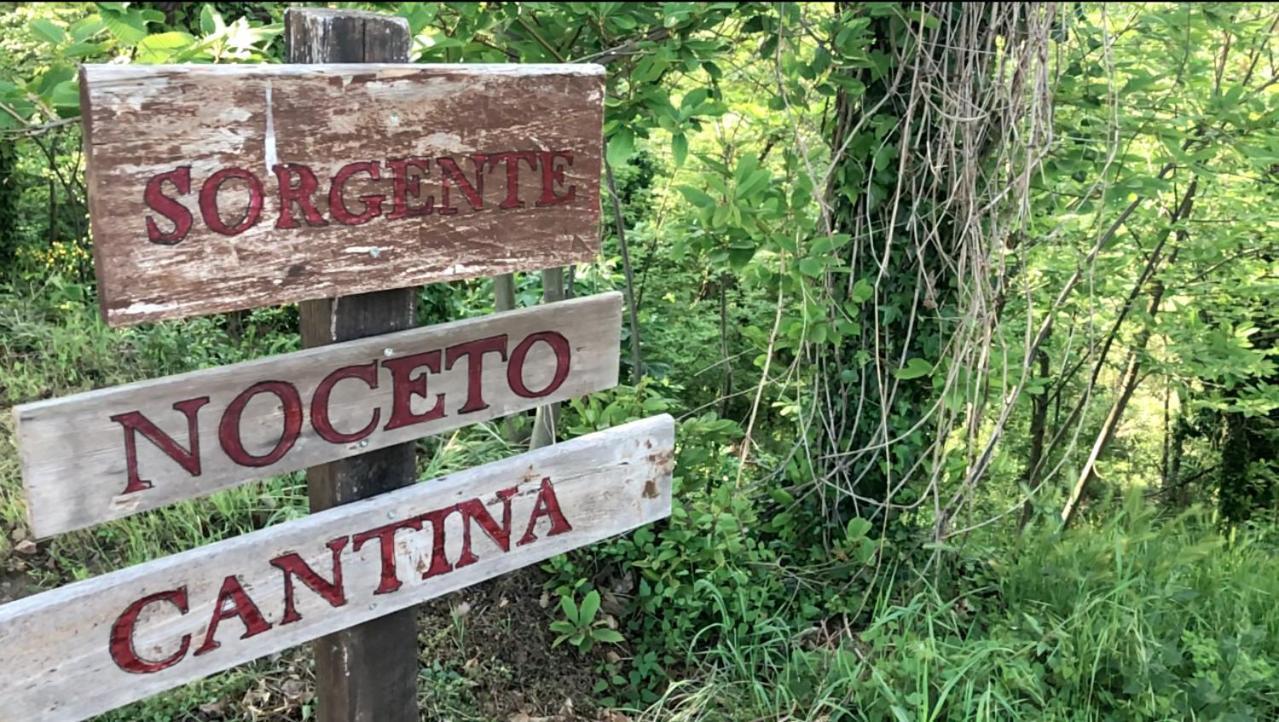 Agriturismo Eco-Bio Villa Vacasio Pitigliano Eksteriør bilde