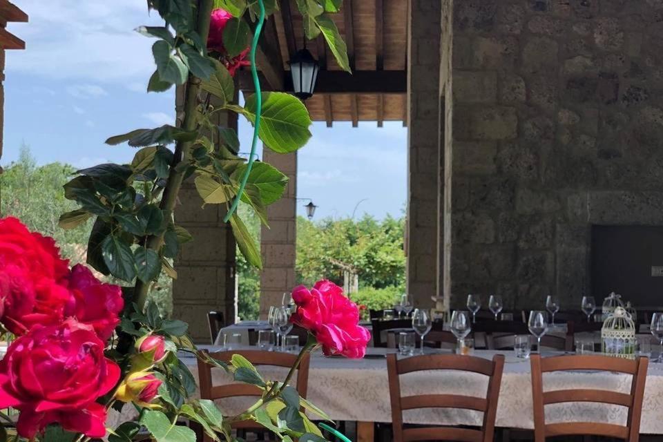 Agriturismo Eco-Bio Villa Vacasio Pitigliano Eksteriør bilde